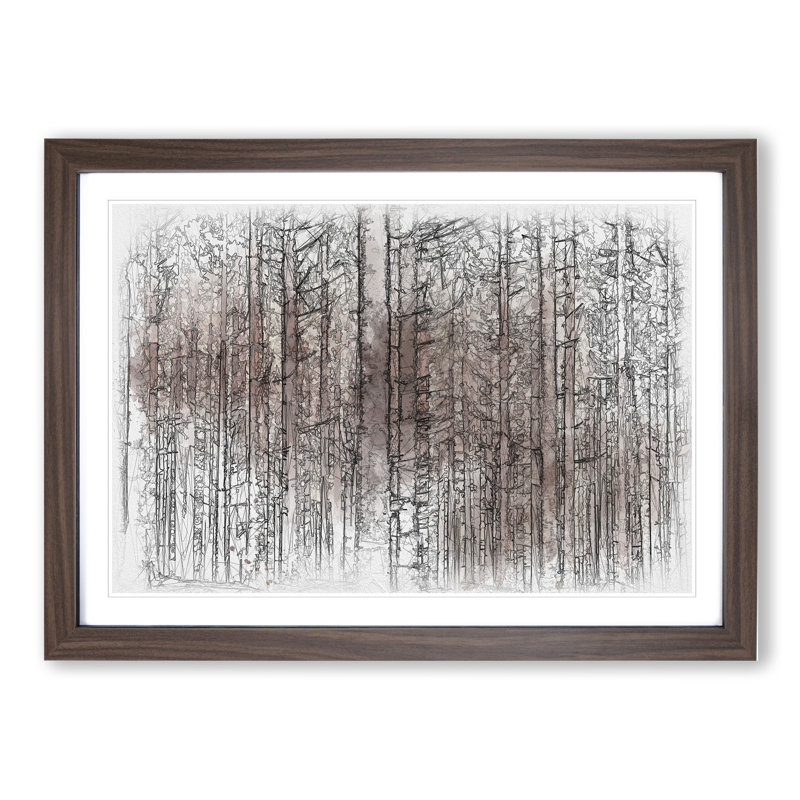 Autumn Forest Vol.7 Sketch - Picture Frame Graphic Art, 36cm H x 48cm W x 2cm D, Walnut
