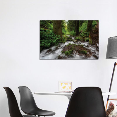 Soft Moving Stream Through A Canyon Of Forest by Sheila Haddad - Wrapped Canvas Print