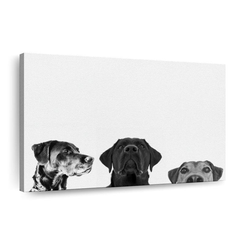 Adorable Puppies Canvas Print, 30" H x 45" W x 1.25" D