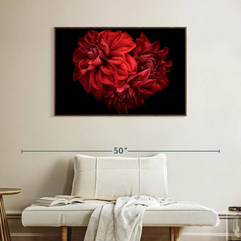 Dahlia rouge en fleurs, Cadre flottant noyer, 40 po x 27 po