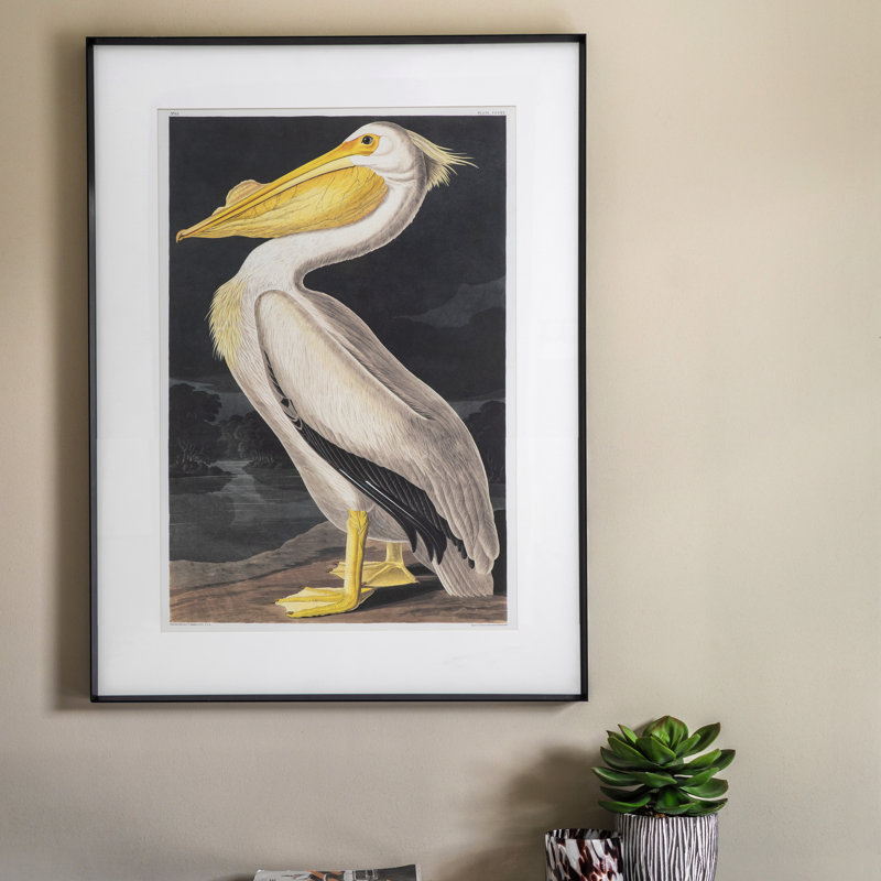 Pellicano Framed Art 600x900mm