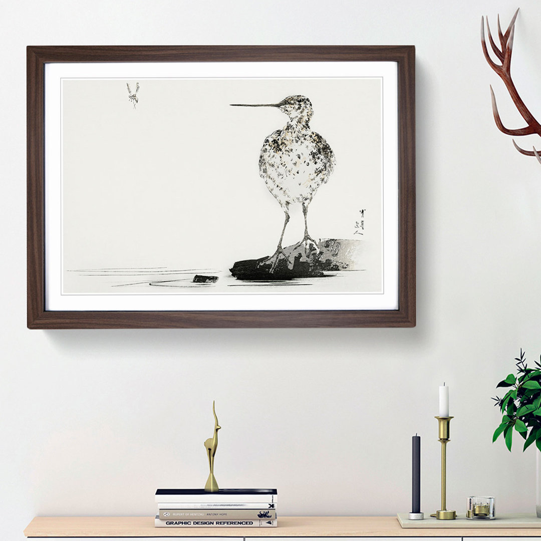 Common Snipe Bird by Watanabe Seitei - Picture Frame Painting Print