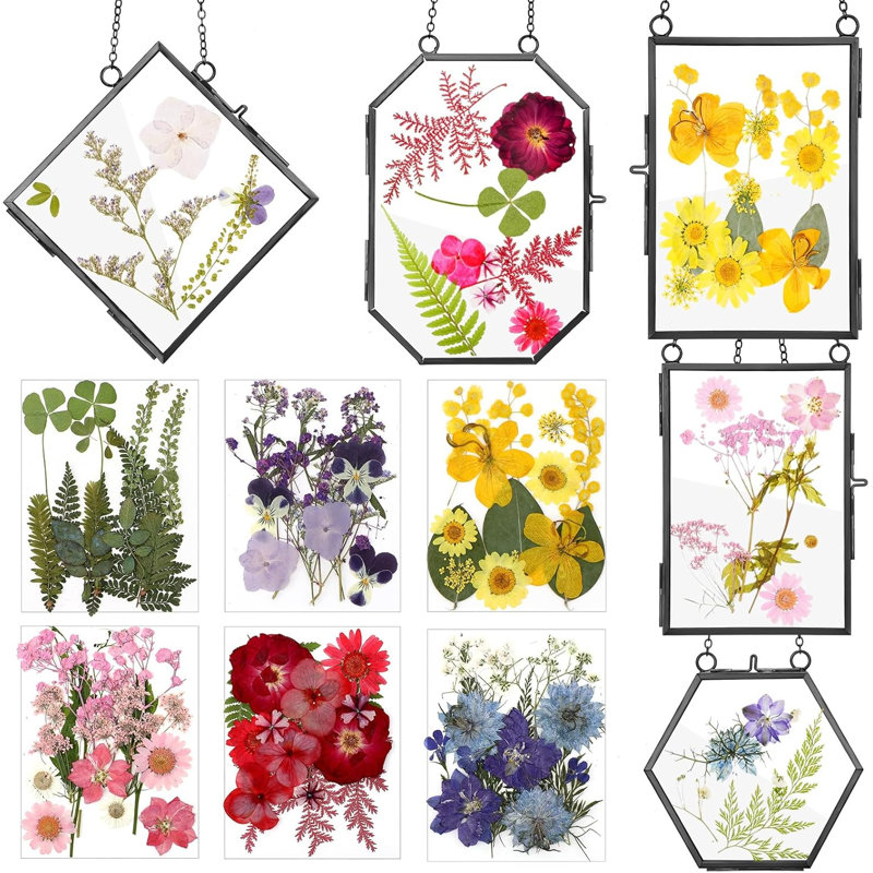 Cadre en verre 5 pièces pour bricolage fleurs pressées Art laiton Cadre photo suspendu avec chaîne et 6 styles de fleurs pressées Collage Artisanat en verre pour la décoration murale