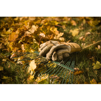Raking the Leaves in Autumn by Pgiam