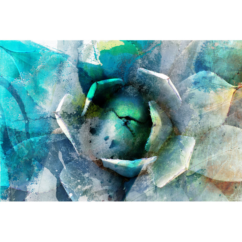 Agave Abstract I by Sisa Jasper - Photograph Print, 51cm H x 76cm W, Wrapped Canvas