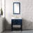 Doucette 30" Single Bathroom Vanity Set with Carrara White Marble Top-1300959011-1277733743