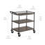 Chariot utilitaire 3 niveaux avec tablettes-110336917