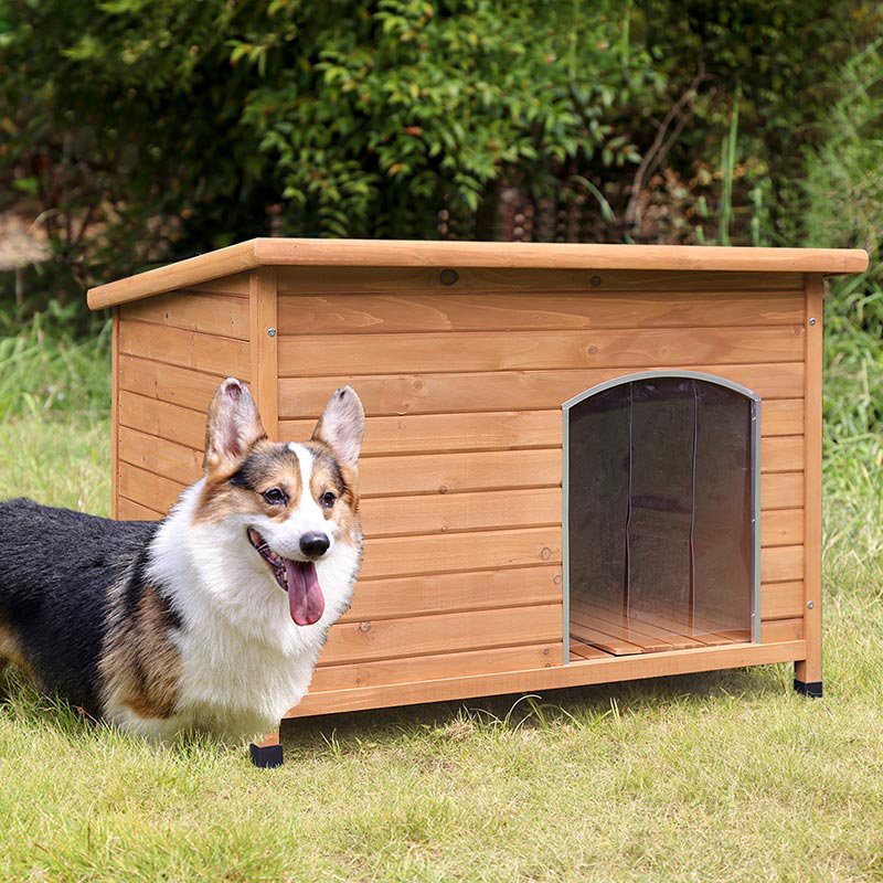 Portable Dog House