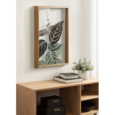 «Bignonia Argyro Violascens Edward Joseph Lowe» par Nostalgia Prints, impression sur toile encadrée