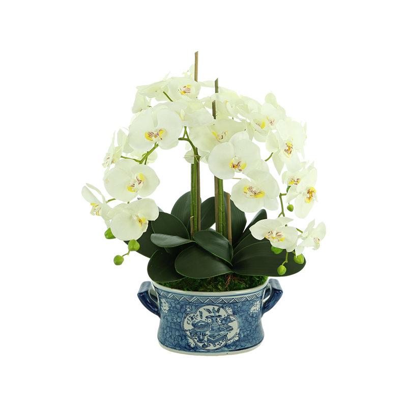 Arrangement floral orchidée en pot de 26 po de hauteur