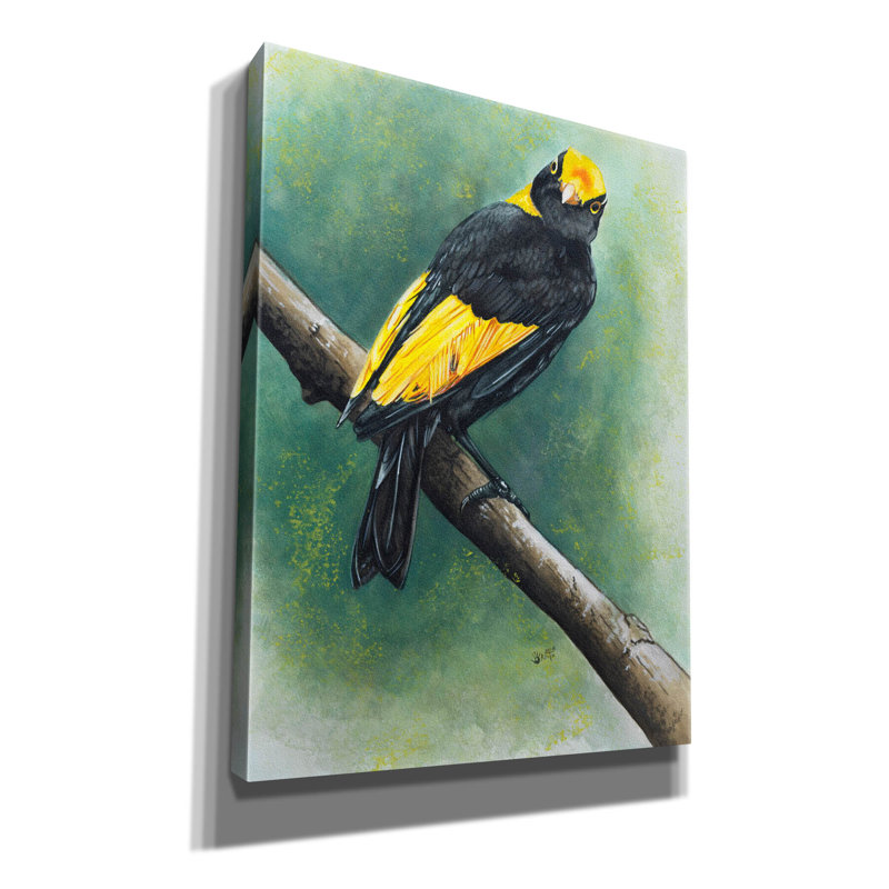 'Regent' by Barbara Keith, Canvas Wall Art, 16" H x 12" W x 0.75" D
