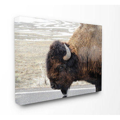 «Beautiful Buffalo», reproduction de photo