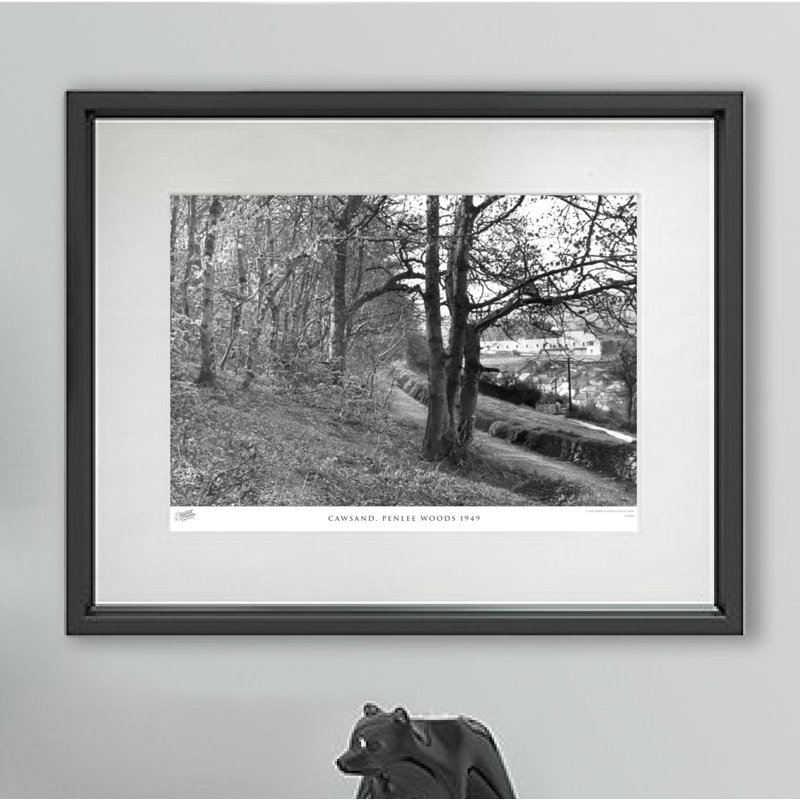 Cawsand, Penlee Woods 1949 - Single Picture Frame Print, 28cm H x 36cm W x 2.3cm D