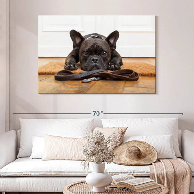 Bouledogue français en attente