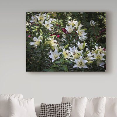 Lilies White and Pink' Photographic Print on Wrapped Canvas -  Trademark Fine Art, ALI37154-C1419GG