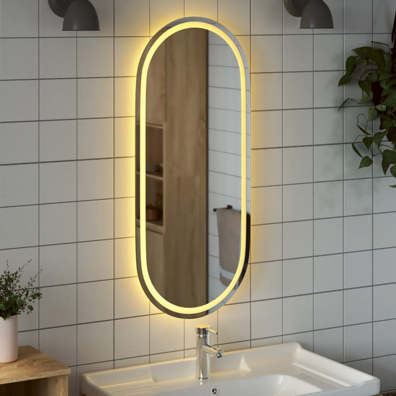 Miroir de salle de bain Jaisean, 39,4 po x 17,7 po