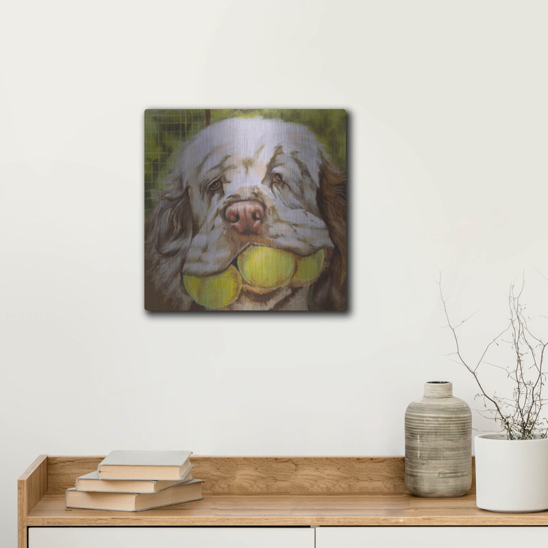 «Clumber Spaniel 2» par Barbara Keith, H 12 po x l 12 po