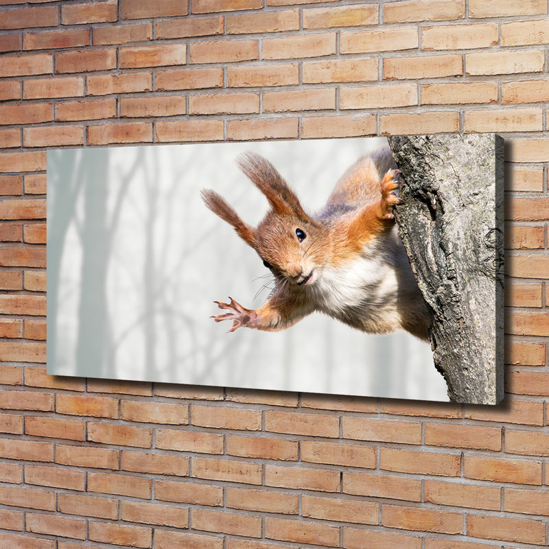 Squirrel - Wrapped Canvas Print