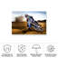 «Desert King» sur toile par Attila Szabo-1492339577