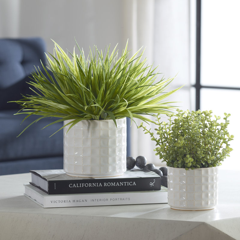 Ensemble de 2 plantes vertes en pot