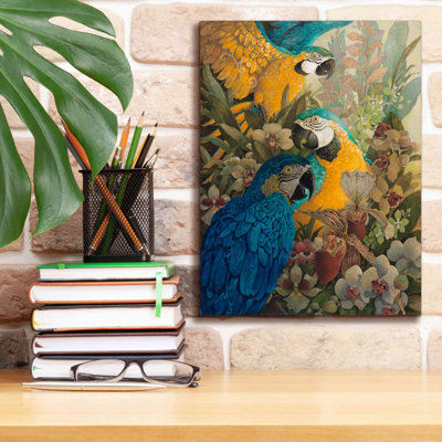 'Amazon' by David Galchutt, Canvas Wall Art