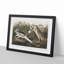 Night Heron by John Audubon - Picture Frame Painting Print on MDF-55577188-55577189