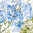 Summer Hydrangea Fabric-88575321