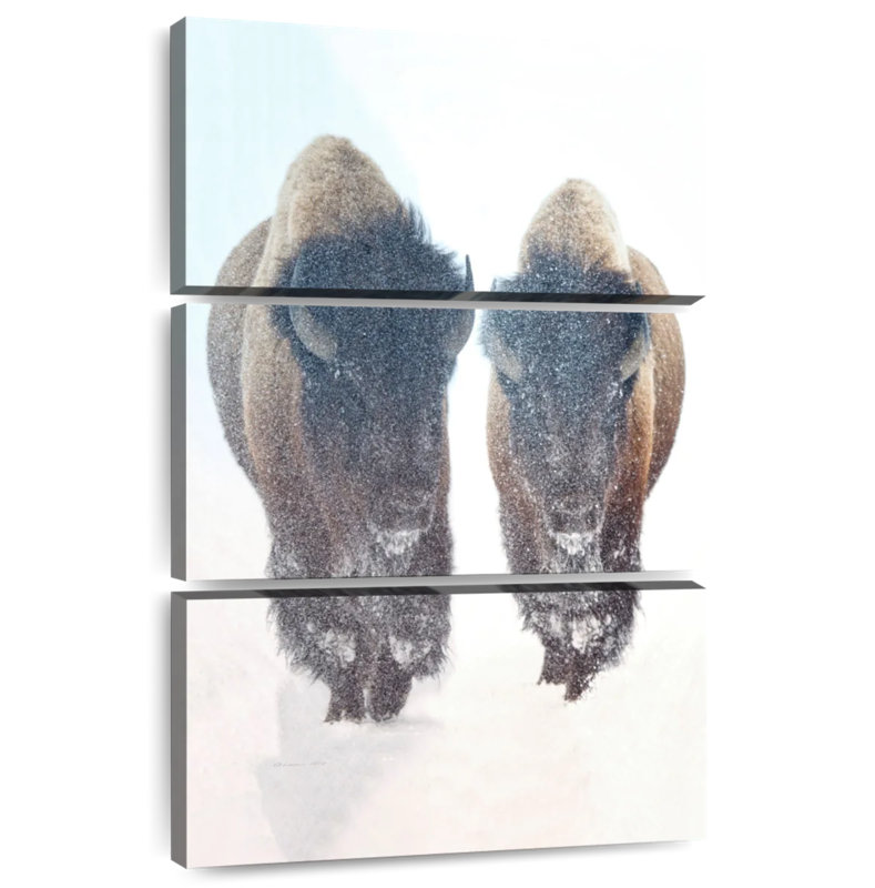 Brampt Bison In A Snow Storm, 57" H x 36" W
