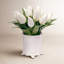Tulip Plant in Canister Vase