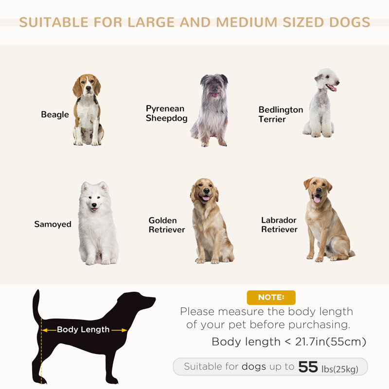 Medium Dark Gray Elevated Pet Sofa with Removable Cushion
