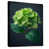 Black Floater Framed