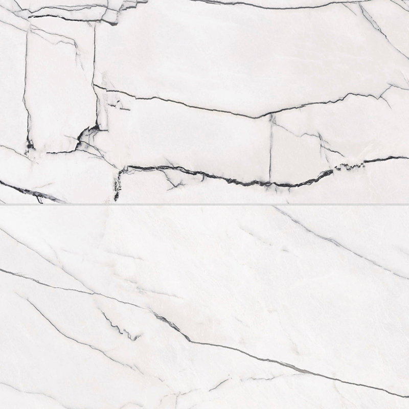 Gemma 24" x 48" Polished Porcelain Marble Look Wall & Floor Tile, Bianca