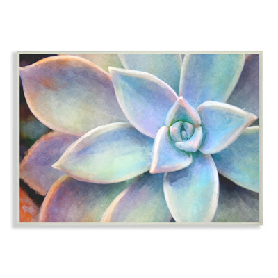 «Succulent Plant Vibrant Bloom», impression