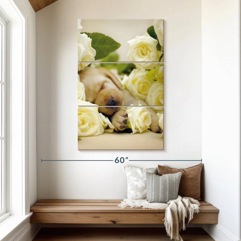 Brampt Oscar I, 45" H x 28" W