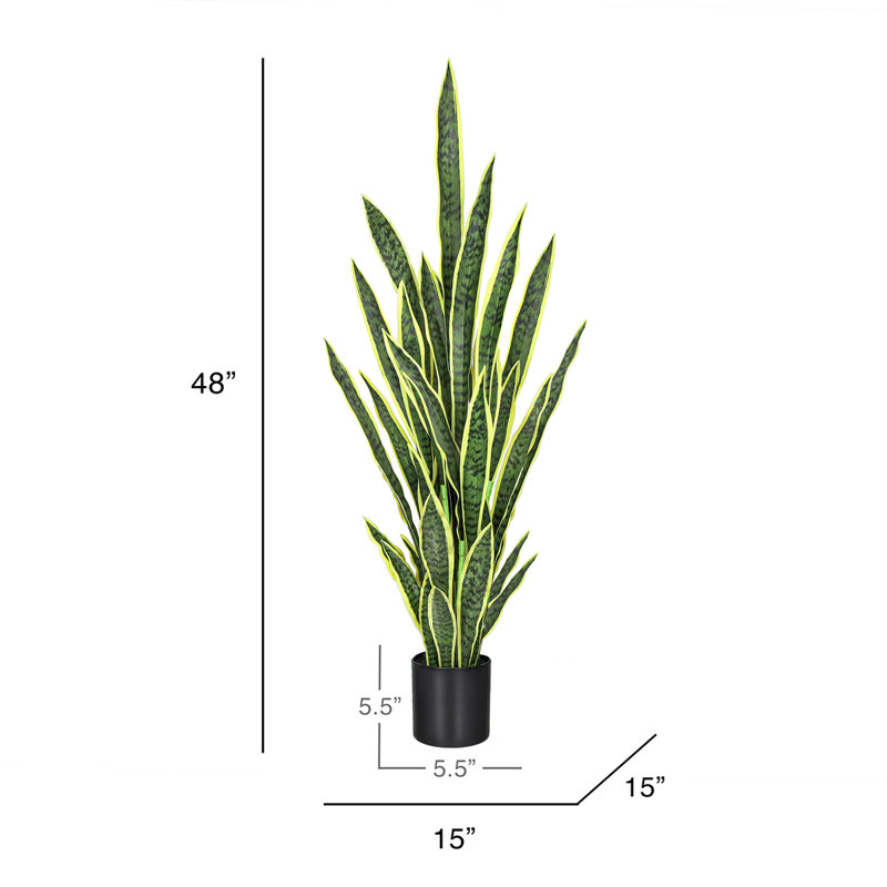 Plante de serpent artificielle Sansevieria en pot, Vert-jaune