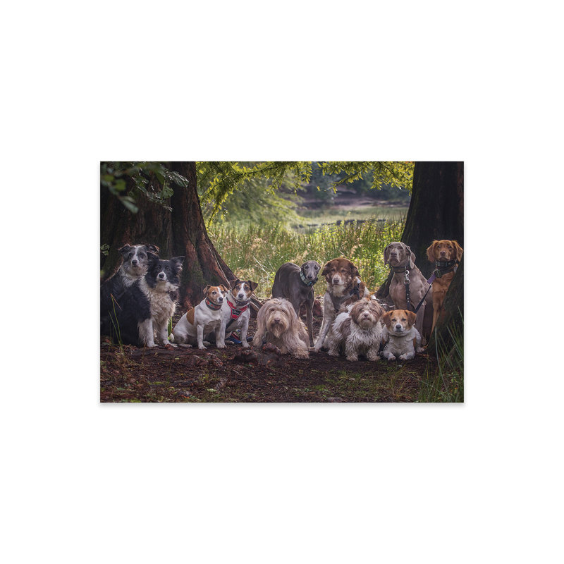 Portrait de famille, Impression sur acrylique, H 16 po x l 24 po x P 0,25 po