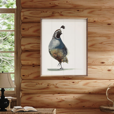 Watercolor Quail