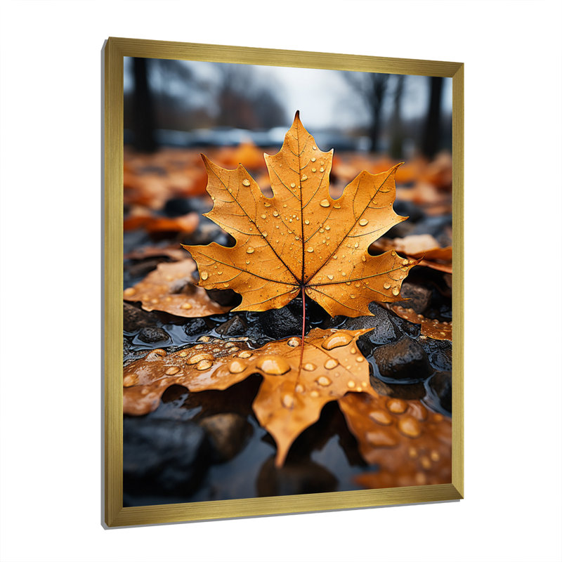 Feuilles d'automne collage I - impression, H 20 po x l 12 po x P 1 po, Encadrement doré