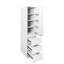 Armoire de cuisine de 15,75 po x l 23,41 po x H 71,5 po pour la cuisine, garde-manger blanc esthétique moderne, panneau de particules +, 3 tablettes, plusieurs espaces de rangement