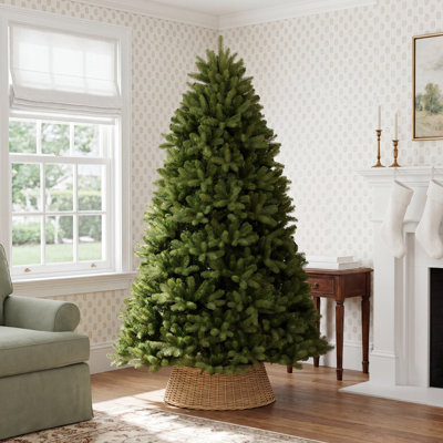 Newberry Spruce Christmas Tree