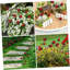 Printemps, 20 pièces, résine, coccinelle, jardin, piquets, art extérieur pour coccinelle, ornements de jardin, décorations de jardin pour la maison et le patio
