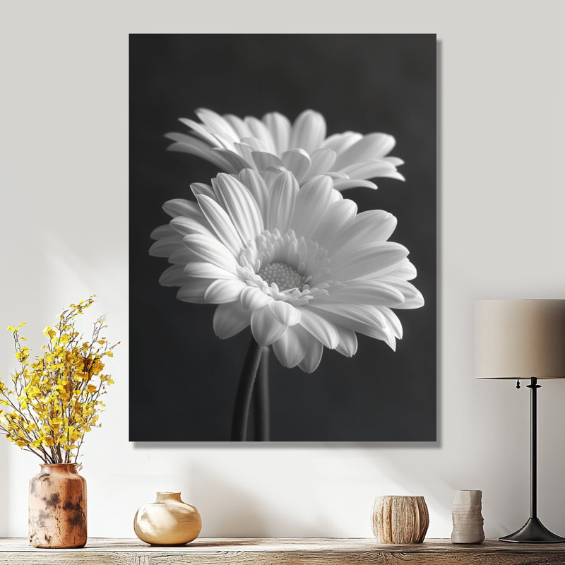 Monochromes noir et blanc «Bliss Daisy Photo I» - impression d'art mural marguerites, Toile tendue, H 30 po x l 40 po