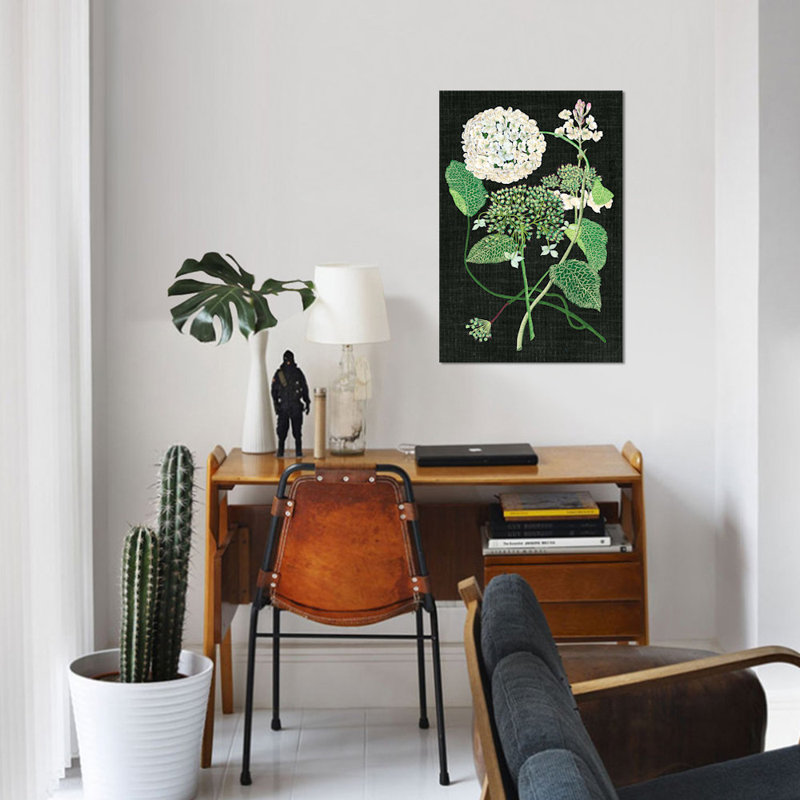 « white hortensia study i », impression sur toile, H 12 po x l 8 po x P 0,75 po, Pas de tapis, Toile tendue