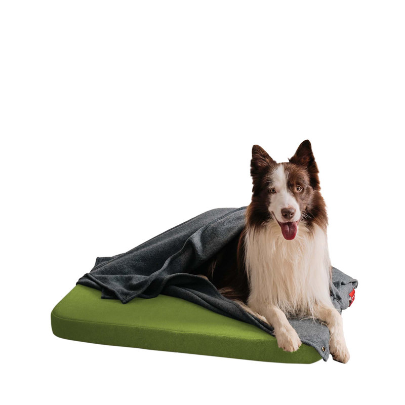 Orthopedic Microfibre Pet Bed, Green, Medium (80cm W x 60cm D)