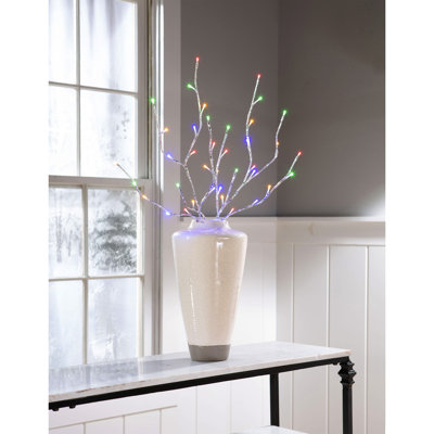 Morrell 30 plantes