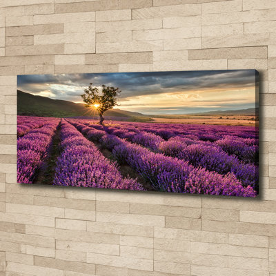 Lavender Field - Wrapped Canvas Print