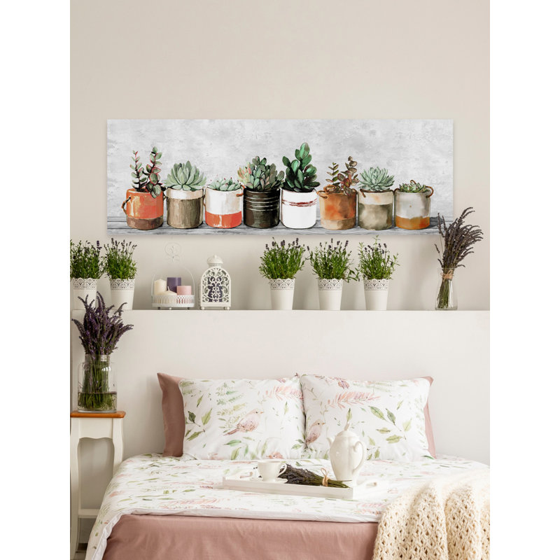 Impression encadrée « indoor succulents », H 10 po x l 30 po x P 1,5 po