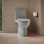 Toilette allongée écoénergétique Reach ™ 1,28 GPF-107149309