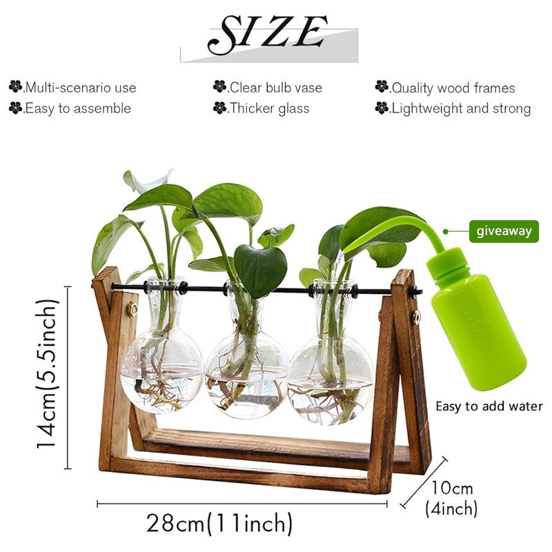 Plante terrarium avec support en bois