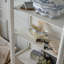 Bois blanc massif + vitrines en verre